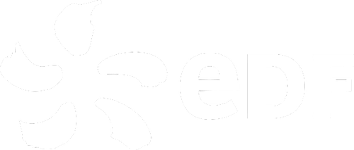 5fa1a3133c73fb1f8ccf8236_logo-20edf-20white-p-5002
